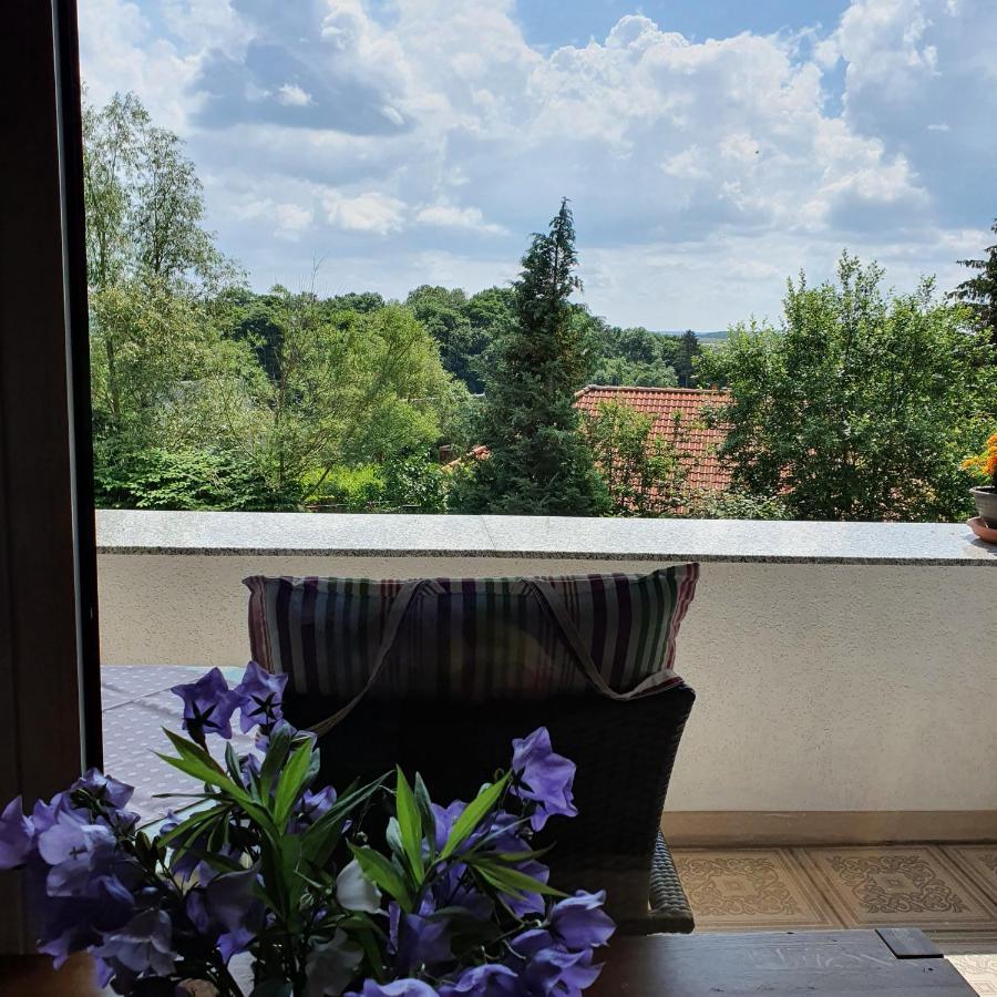 Apartment Schau Ins Land Elbingerode (Saxony-Anhalt)